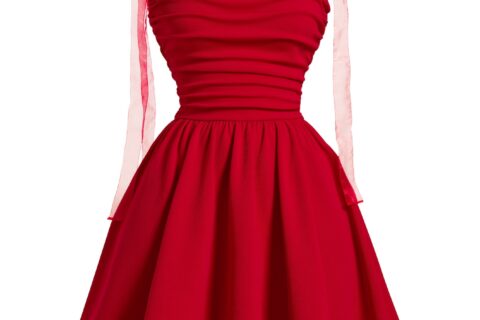 Red Tie-Up Shoulder Ruched Fit & Flare Mini Dress